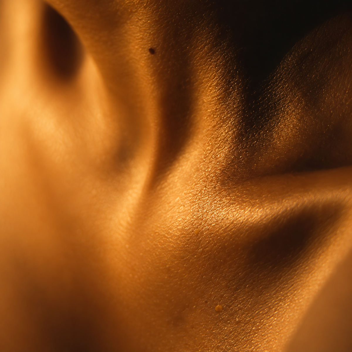 Silk Skin Body Serum, Spices & Sandalwood